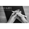 Indie Bloom -Illustrator